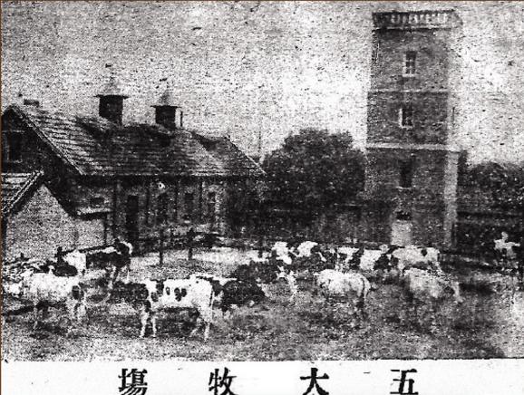 济南这家公司竟是1932年开设的,延续至今