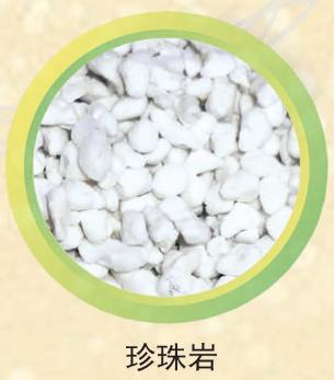 投资巴林,投资热土创业项目