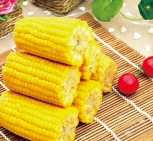 投资巴林,投资热土创业项目