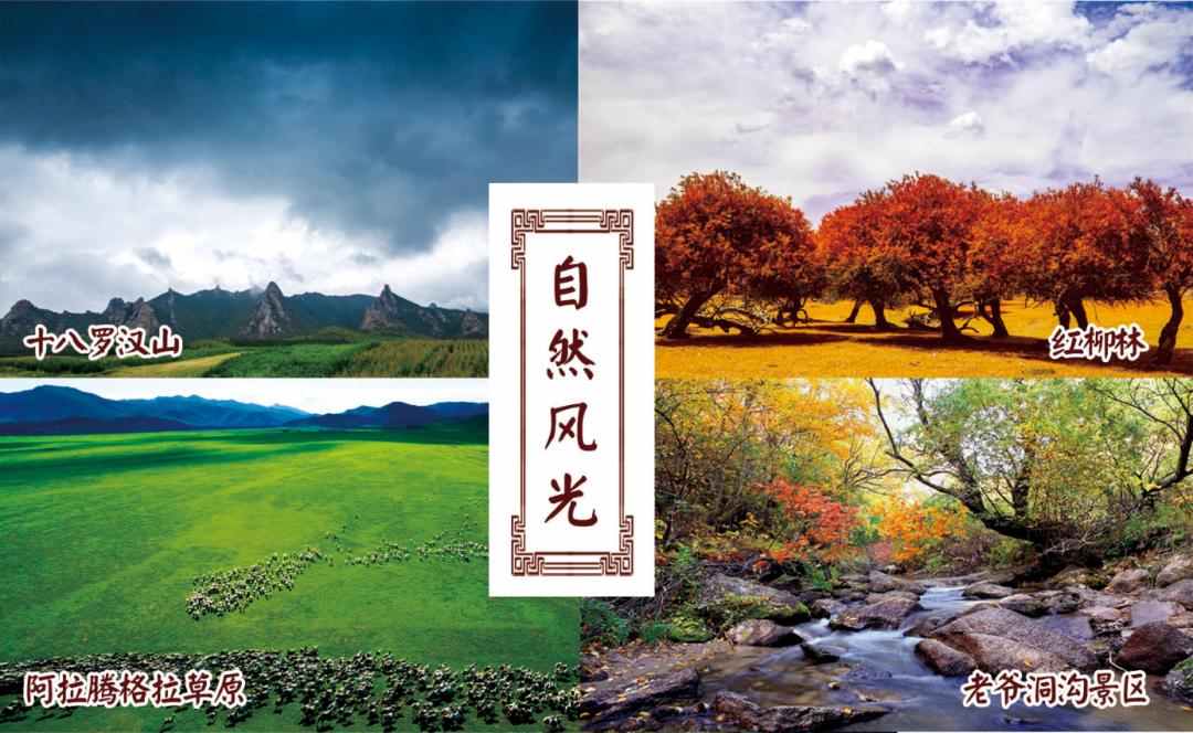 投资巴林,投资热土创业项目