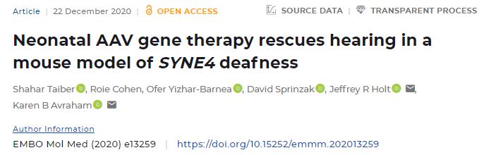 最新耳聋基因治疗人体实验,基因疗法治遗传性听力最新消息