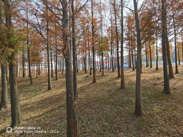 华为mate40上手体验无愧旗舰机皇,华为mate40深度评测