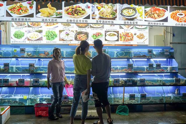 三亚亚龙湾附近美食攻略,三亚陵水美食攻略