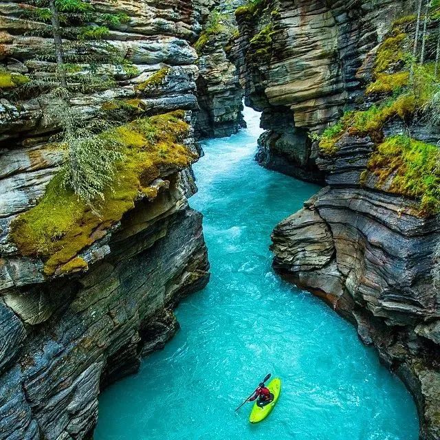 你真的会自拍吗,你以为就你会p图吗