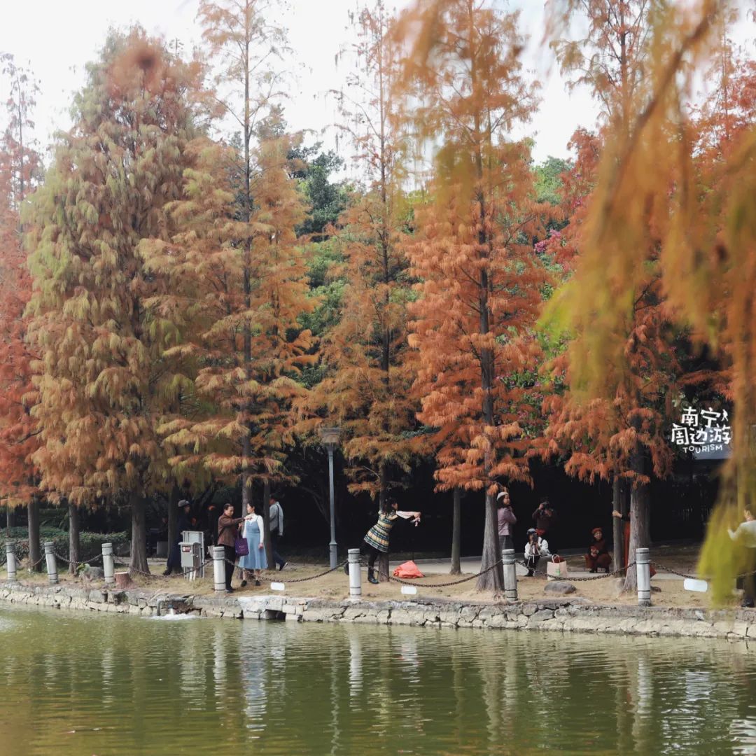 南宁适合一日游攻略,南宁免费玩的地方