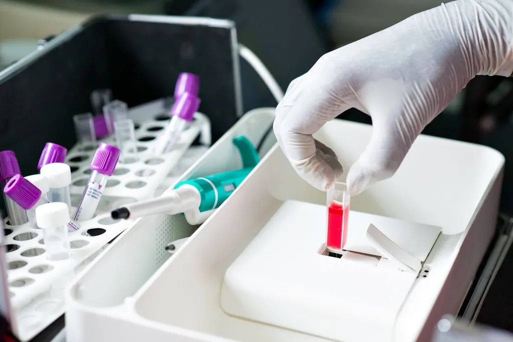 用改变世界的决心去改变自己,寻找未来的最优解