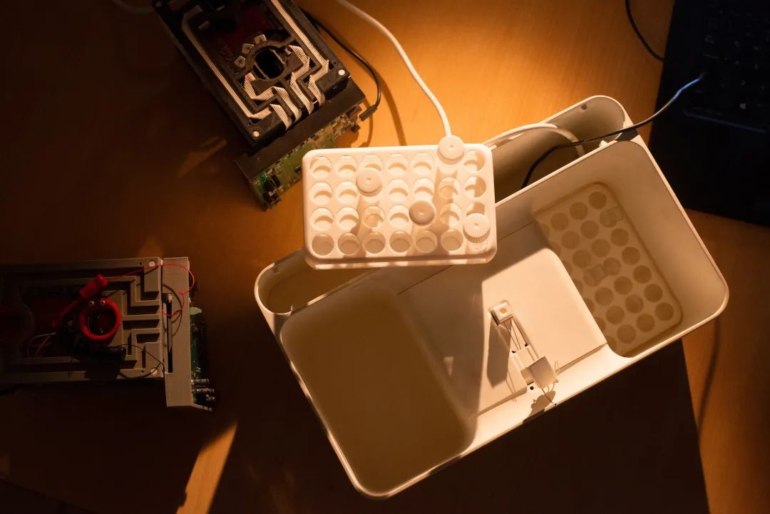 用改变世界的决心去改变自己,寻找未来的最优解