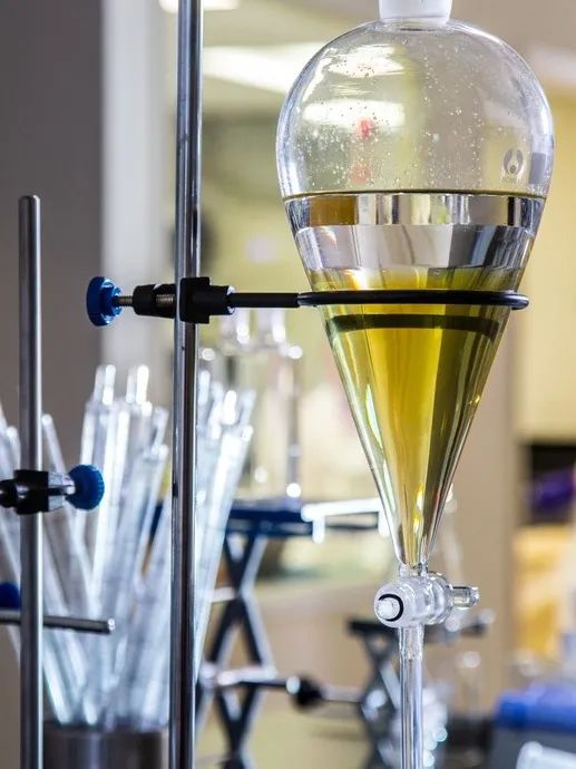 用改变世界的决心去改变自己,寻找未来的最优解