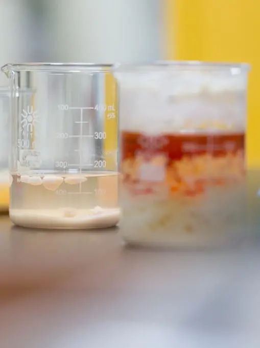 用改变世界的决心去改变自己,寻找未来的最优解