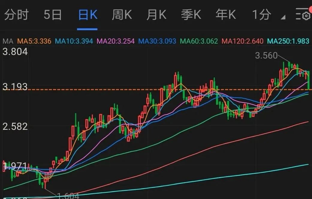 零售寒冬股价涨近两倍，卡宾的数字化实践做对了什么？