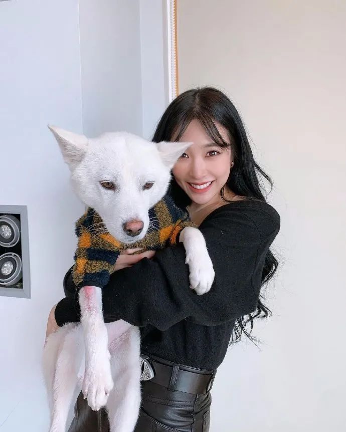 钻石美貌，欧化了TiffanyYoung真像韩艺瑟和徐睿知的合体