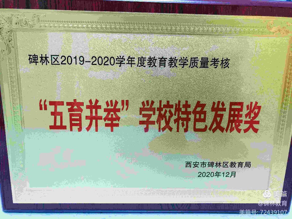 西安市星光实验学校荣获多项佳绩