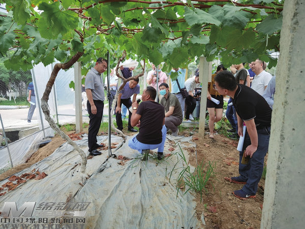浓墨重彩绘就新画卷,浓墨重彩描绘美丽乡村新画卷