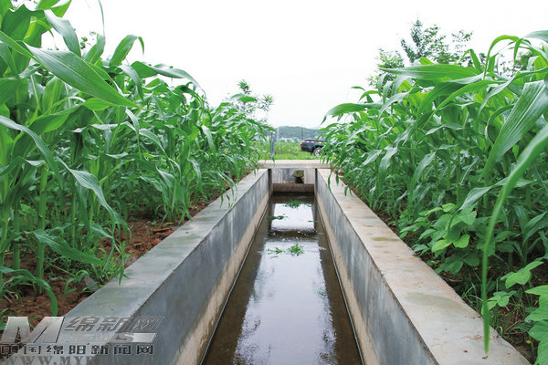 浓墨重彩绘就新画卷,浓墨重彩描绘美丽乡村新画卷
