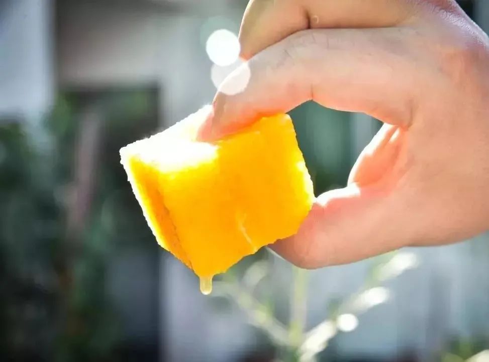 冬天感受阳光的味道,冬天到凉山