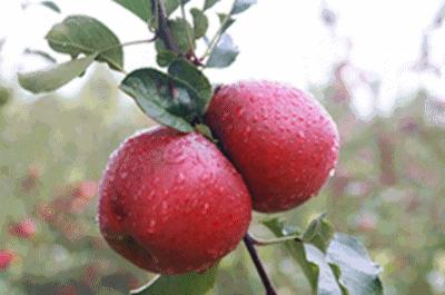 冬天感受阳光的味道,冬天到凉山