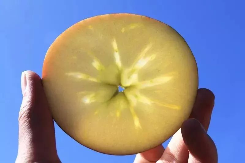 冬天感受阳光的味道,冬天到凉山