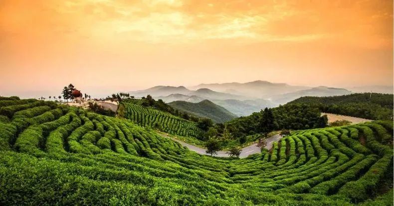 关于推进高质量发展的思考,对高质量发展的思考与心得