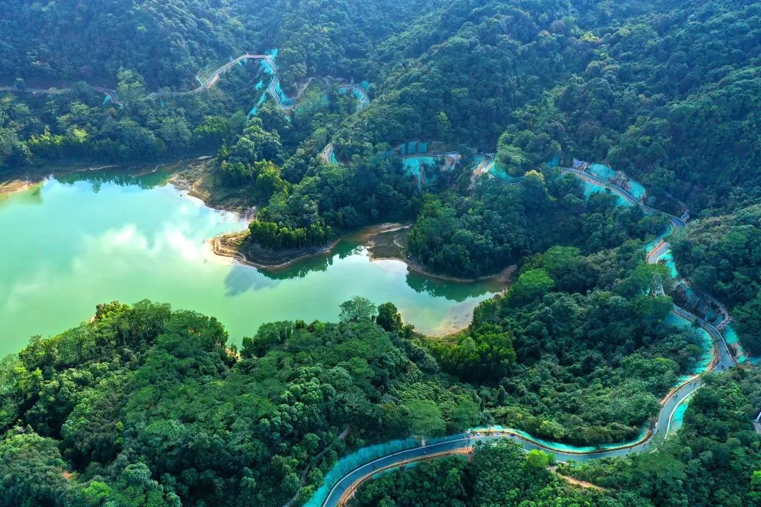 大浪街道拍了拍“你”,并递上2020成绩单