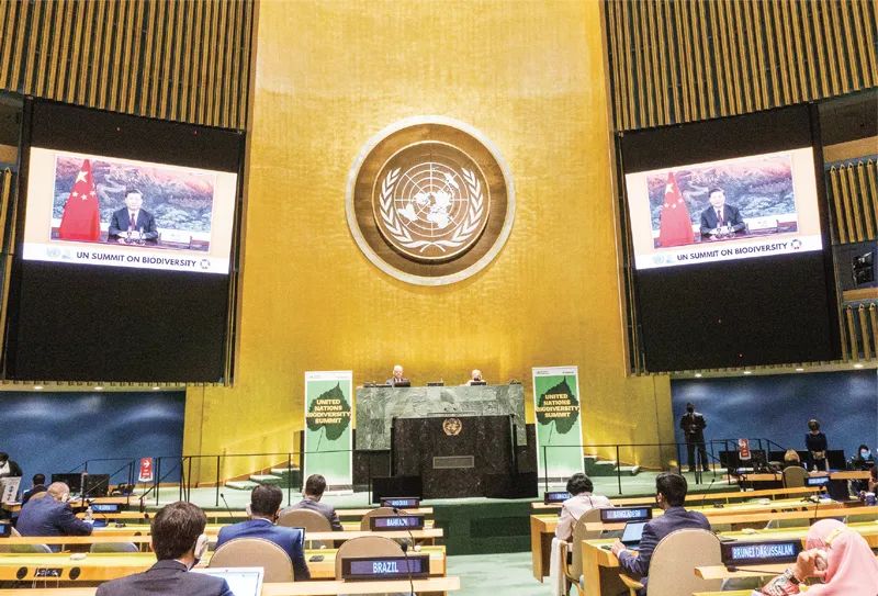 《求是》杂志发表习*平近**总书记重要文章《共同构建人类命运共同体》（附全文）