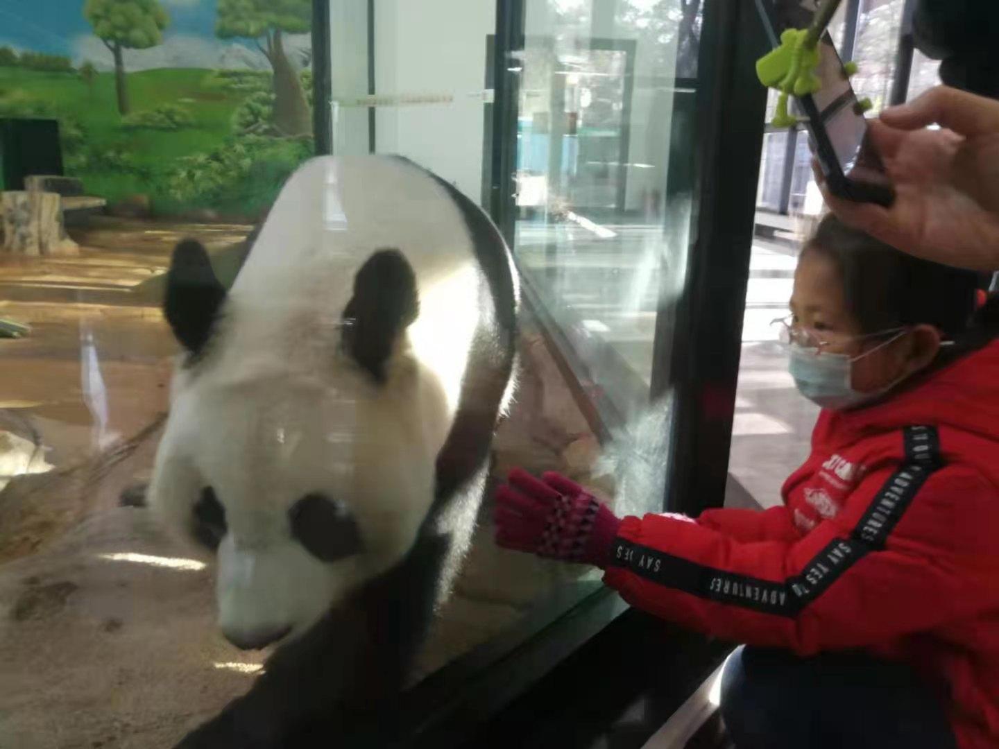 防疫措施得力市民家门口庆元旦