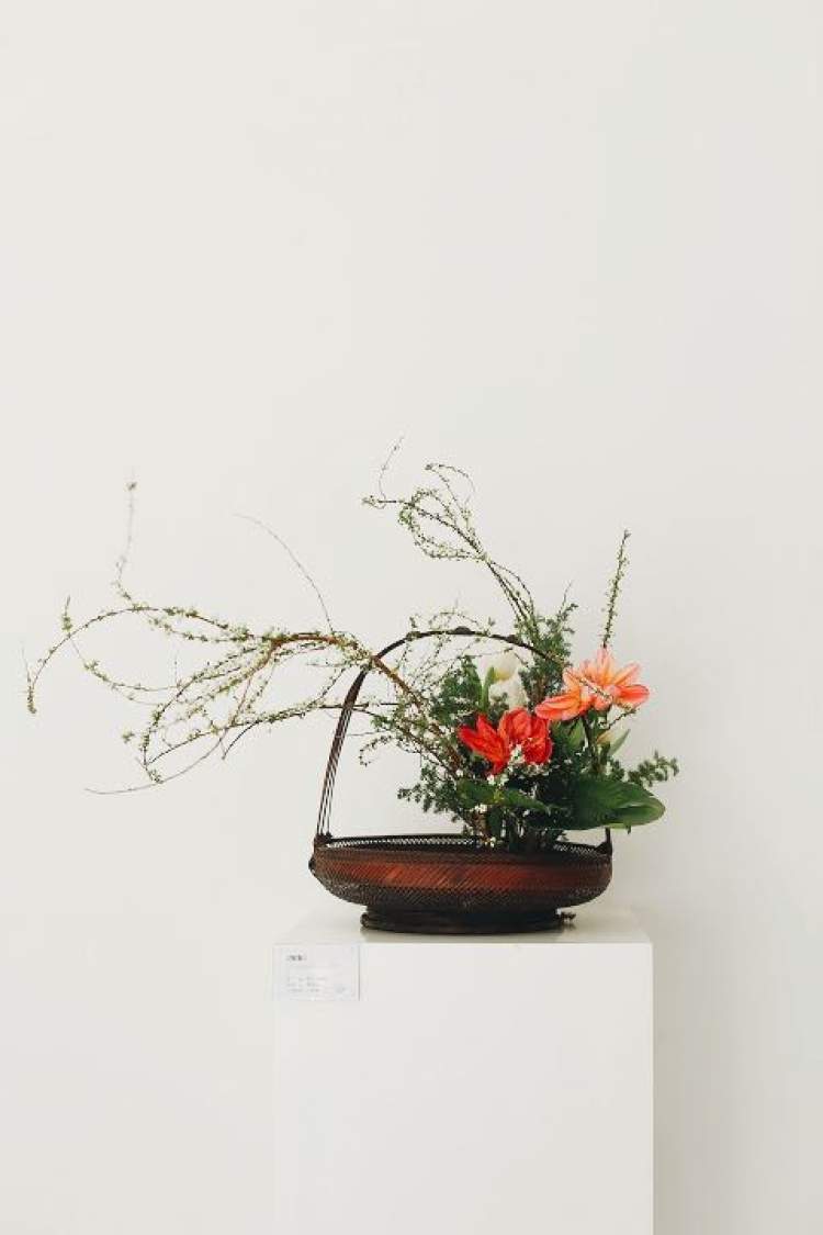 元旦假期哪里去？爱花爱生活的你不妨去这场插花美学展看看吧