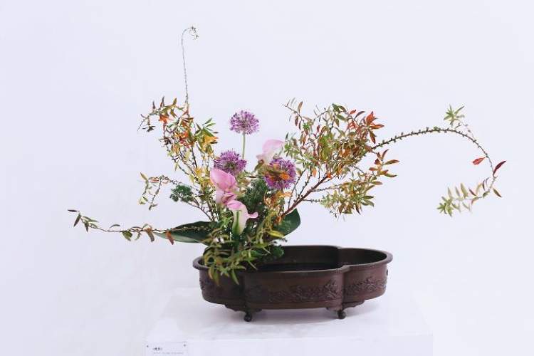 元旦假期哪里去？爱花爱生活的你不妨去这场插花美学展看看吧