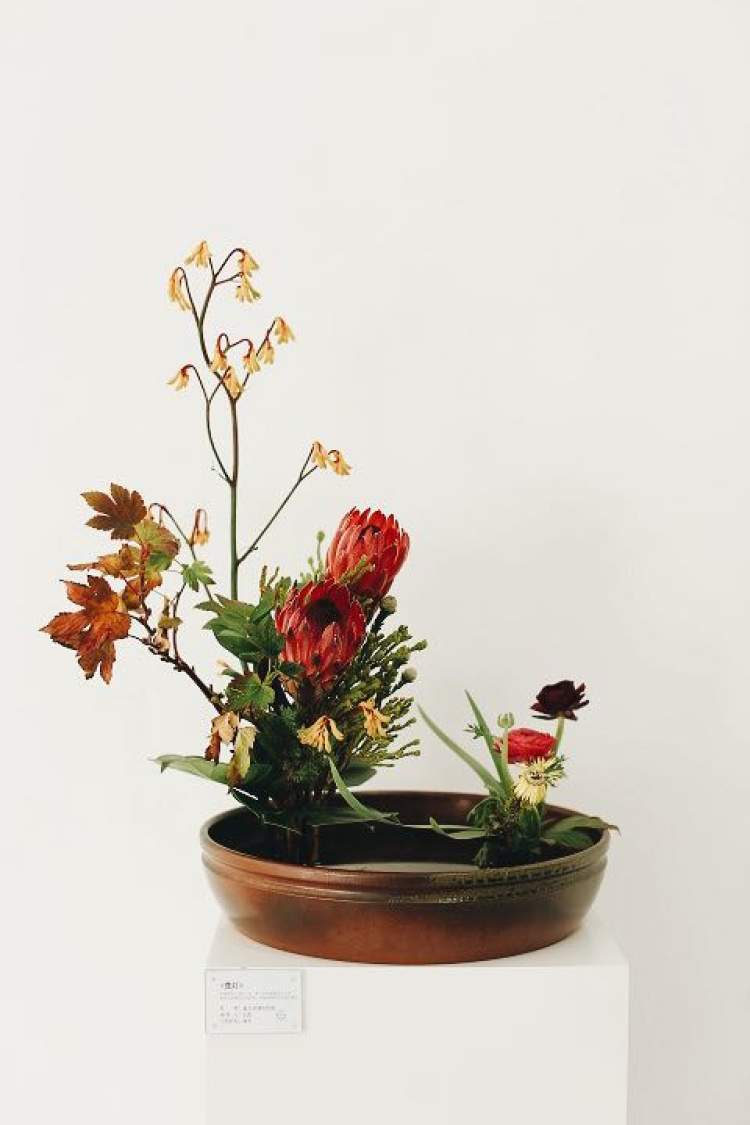 元旦假期哪里去？爱花爱生活的你不妨去这场插花美学展看看吧