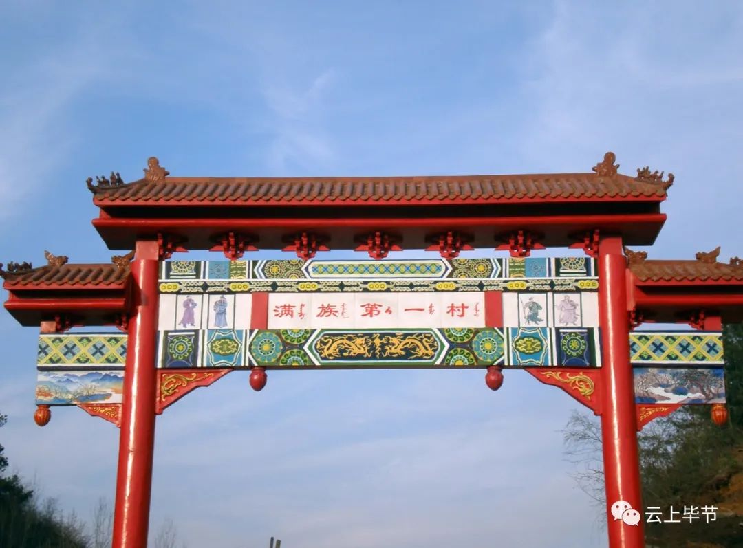 黔西北回忆,黔西北百里杜鹃第一村