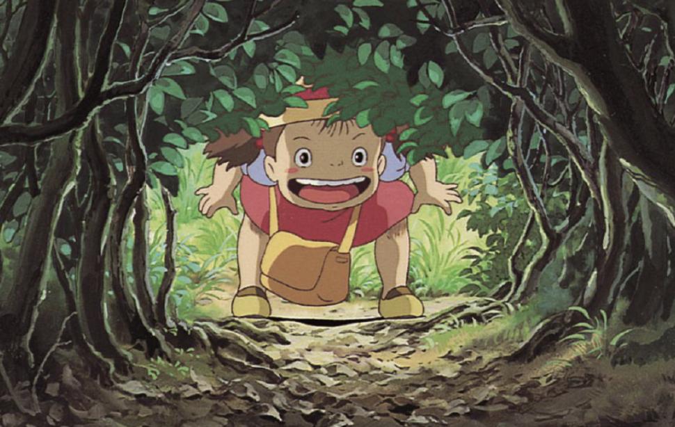 龙猫绘本,龙猫绘本好看吗