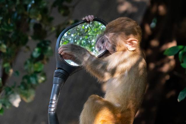 三亚旅游全攻略大概多少钱,2018最详细的三亚吃货游玩攻略