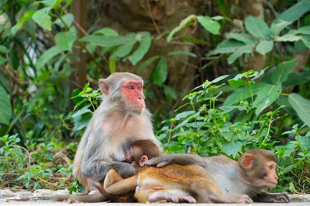 三亚旅游全攻略大概多少钱,2018最详细的三亚吃货游玩攻略