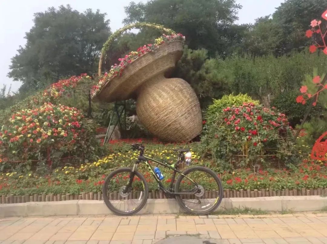 北京车友都骑什么车？