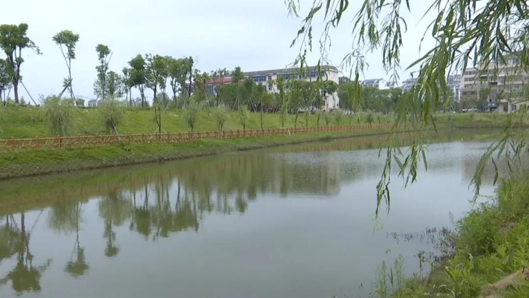 百舸争流尽风华——2020年德安县经济社会发展综述