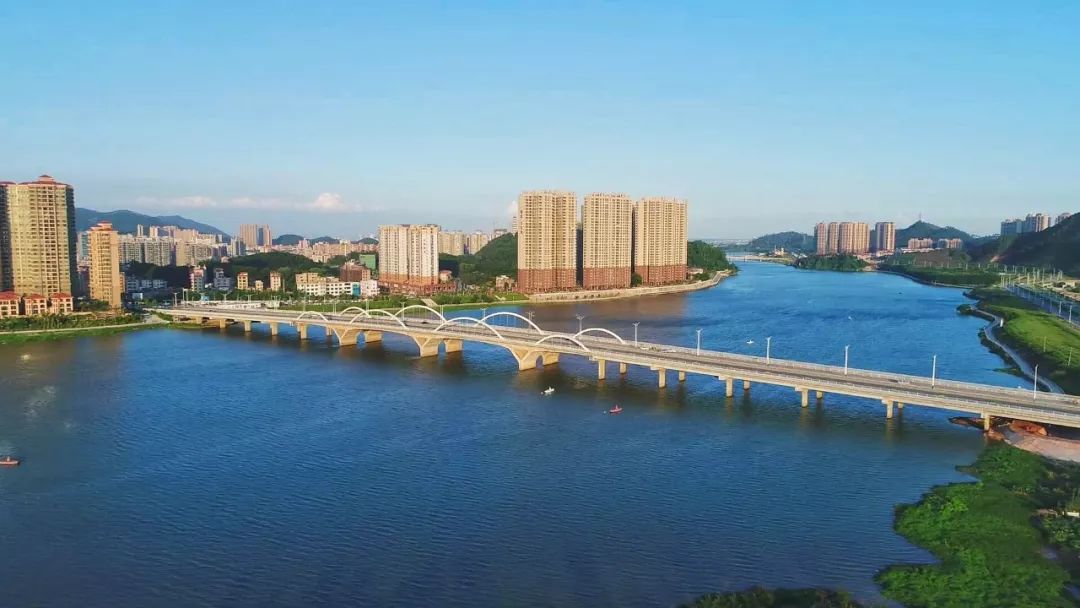 沙糖桔成熟果软,肇庆四会沙糖桔