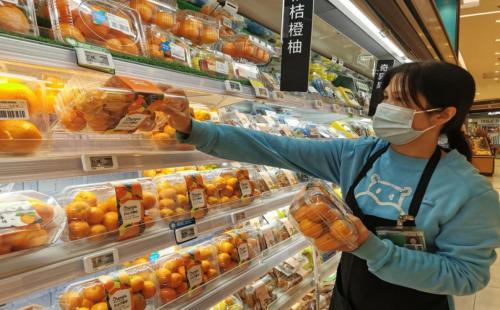 沙糖桔成熟果软,肇庆四会沙糖桔