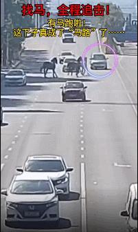 广州新增境外输入确诊病例5例,广州新增18例境外输入阳性感染者