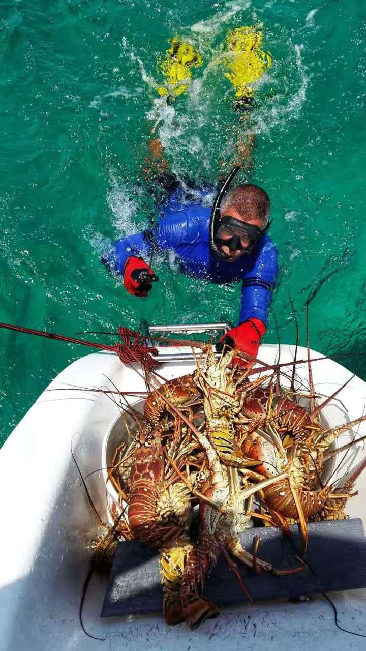 董董飞澳洲-董董待在家里守阵地-董董要失业-董董，2020年一个朋友圈名字的心酸历程