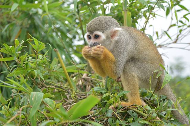 海南海口出发自由行攻略5天,四天三晚海口三亚环岛自驾游攻略
