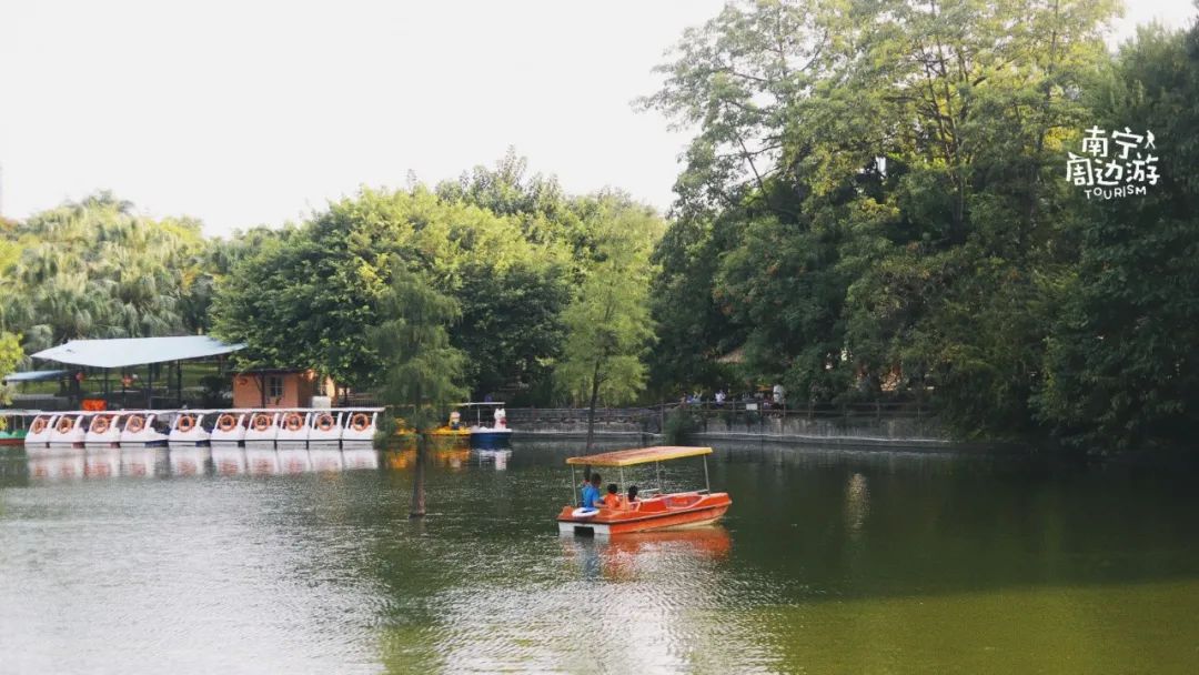 南宁适合一日游攻略,南宁免费玩的地方