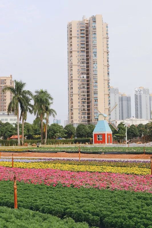 南宁适合一日游攻略,南宁免费玩的地方