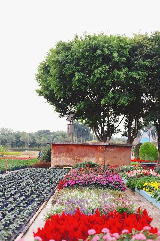 南宁适合一日游攻略,南宁免费玩的地方