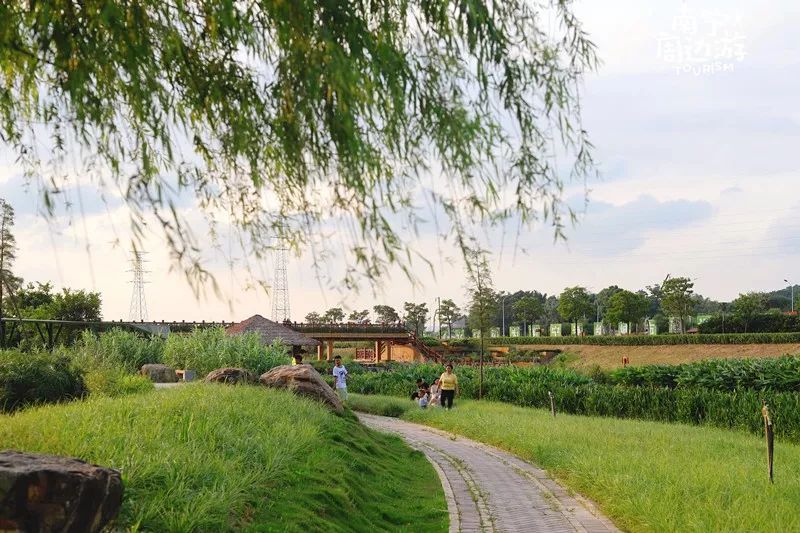 南宁适合一日游攻略,南宁免费玩的地方