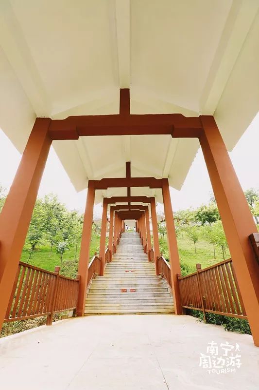 南宁适合一日游攻略,南宁免费玩的地方