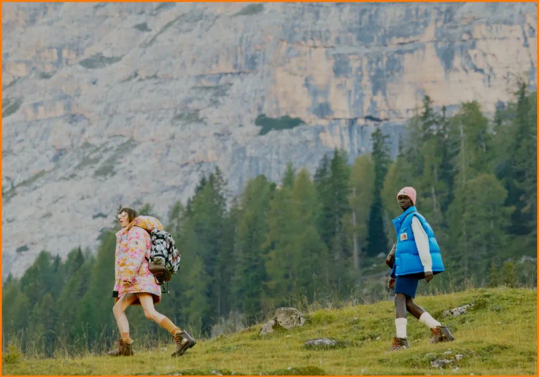 为什么满大街都是穿北面羽绒服的,北面羽绒服700和900的区别