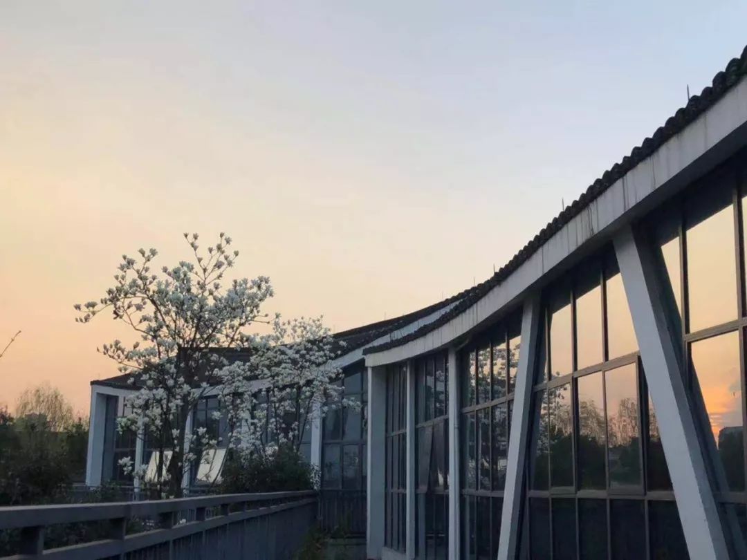 乌镇最有品位的民宿,乌镇最有特色的民宿