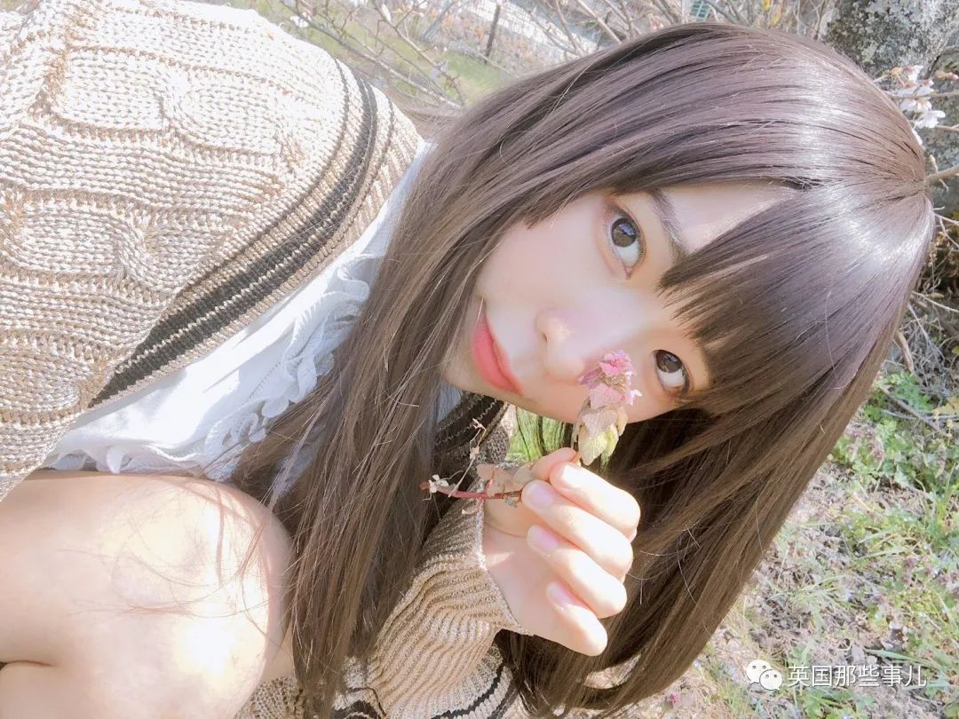 樱花妹高清完整,樱花妹最新视频