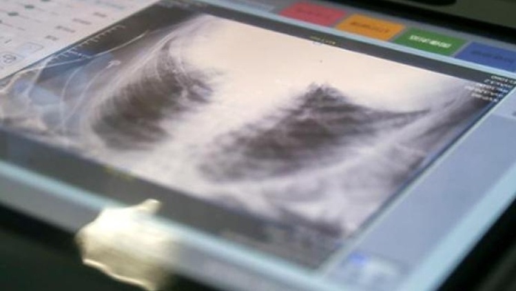 广州新增境外输入确诊病例5例,广州新增18例境外输入阳性感染者