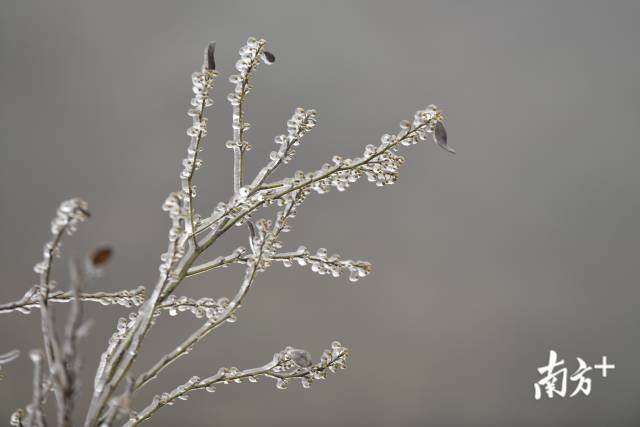 广州新增境外输入确诊病例5例,广州新增18例境外输入阳性感染者
