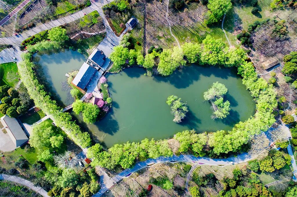 一文看遍大美南京河西，锦绣建邺